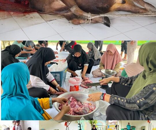 Tanamkan Keikhlasan  dan Kepedulian Sosial,   MTsN Bulungan Gelar Ibadah Kurban